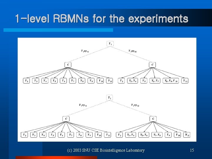 1 -level RBMNs for the experiments (c) 2003 SNU CSE Biointelligence Laboratory 15 