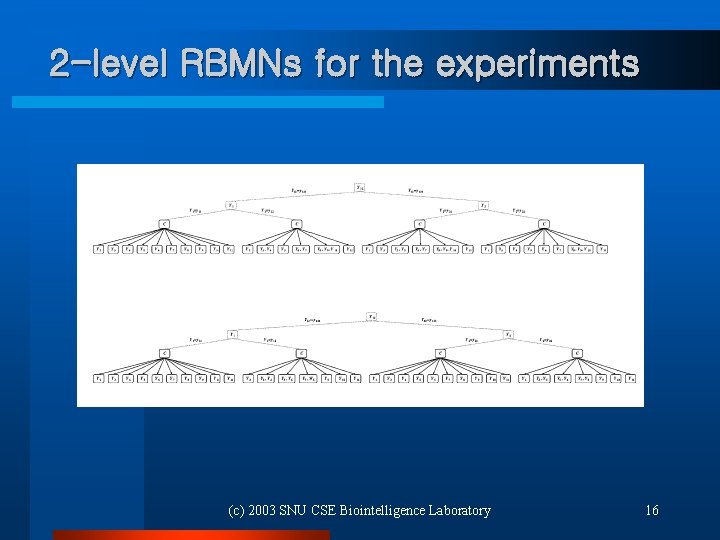 2 -level RBMNs for the experiments (c) 2003 SNU CSE Biointelligence Laboratory 16 