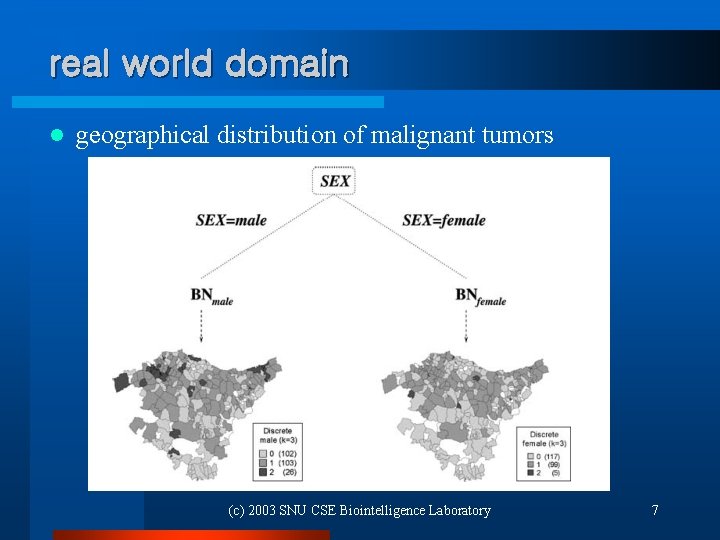 real world domain l geographical distribution of malignant tumors (c) 2003 SNU CSE Biointelligence