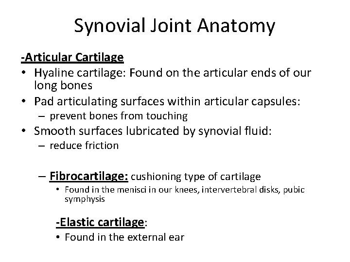 Synovial Joint Anatomy -Articular Cartilage • Hyaline cartilage: Found on the articular ends of