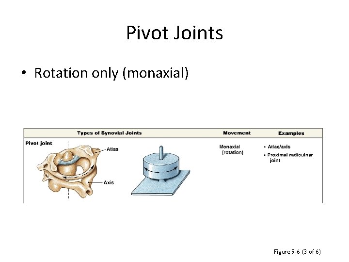 Pivot Joints • Rotation only (monaxial) Figure 9– 6 (3 of 6) 