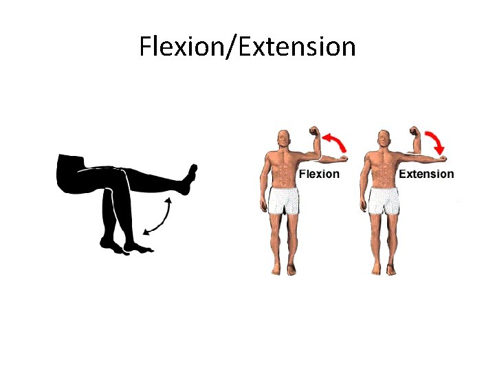 Flexion/Extension 