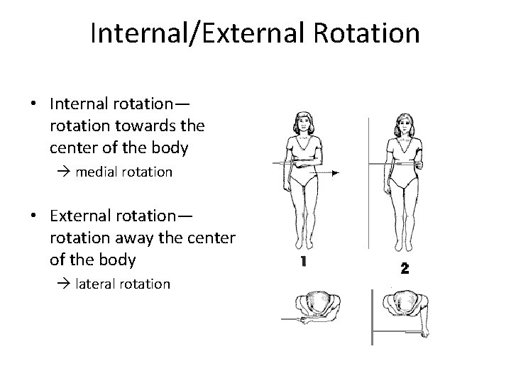 Internal/External Rotation • Internal rotation— rotation towards the center of the body medial rotation