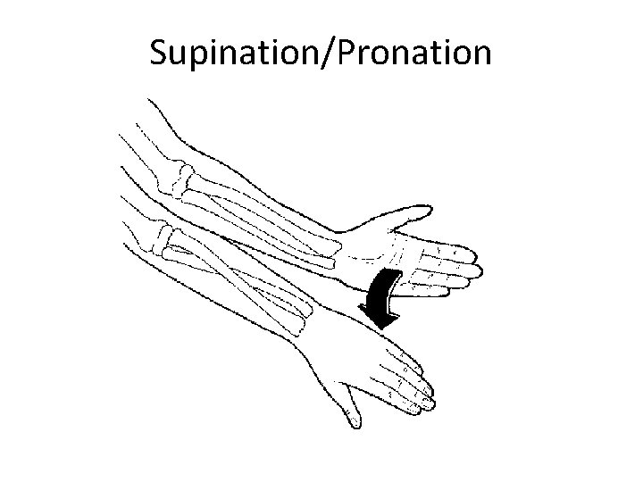 Supination/Pronation 