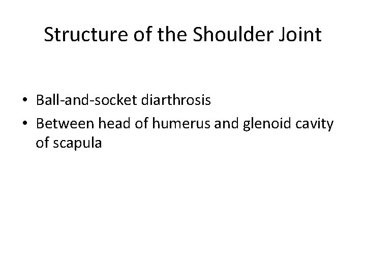 Structure of the Shoulder Joint • Ball-and-socket diarthrosis • Between head of humerus and