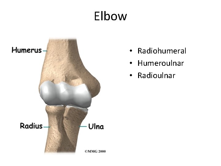 Elbow • Radiohumeral • Humeroulnar • Radioulnar 