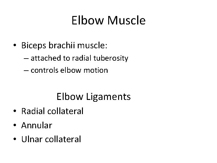 Elbow Muscle • Biceps brachii muscle: – attached to radial tuberosity – controls elbow