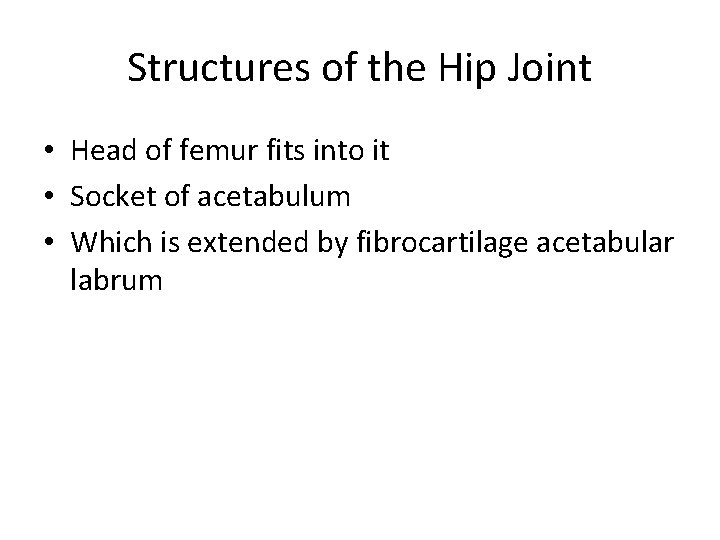 Structures of the Hip Joint • Head of femur fits into it • Socket