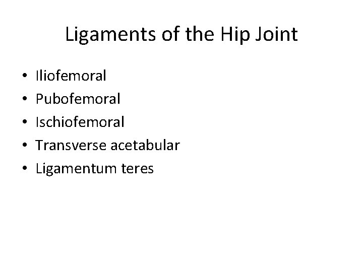 Ligaments of the Hip Joint • • • Iliofemoral Pubofemoral Ischiofemoral Transverse acetabular Ligamentum