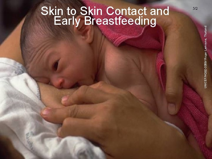 Skin to Skin Contact and Early Breastfeeding UNICEF/WHO Breastfeeding Promotion and Support in a