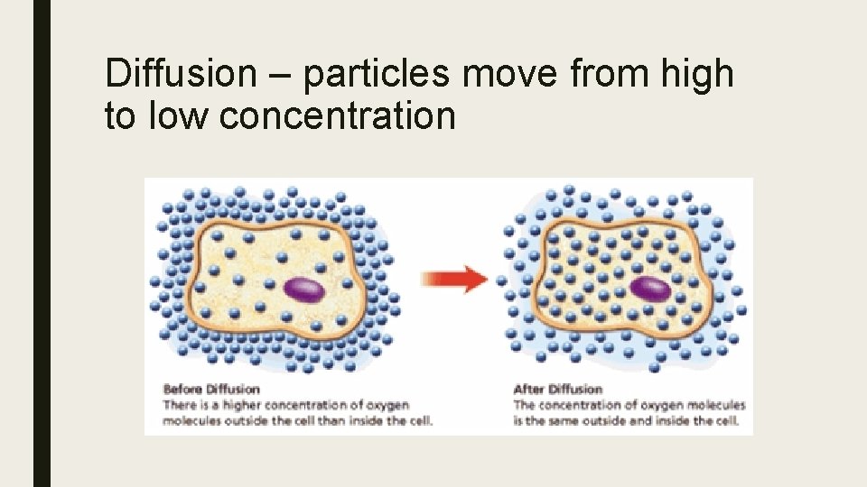 Diffusion – particles move from high to low concentration 