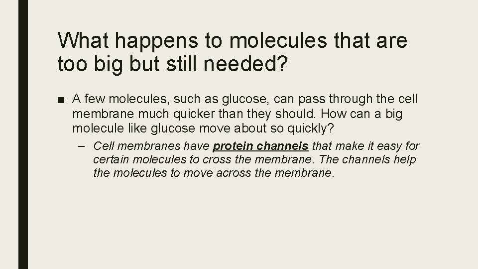 What happens to molecules that are too big but still needed? ■ A few