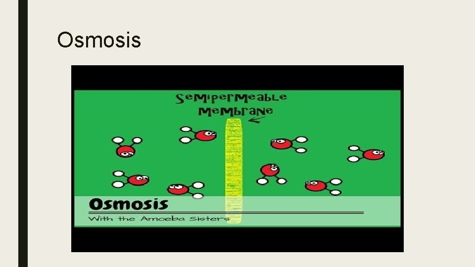 Osmosis 