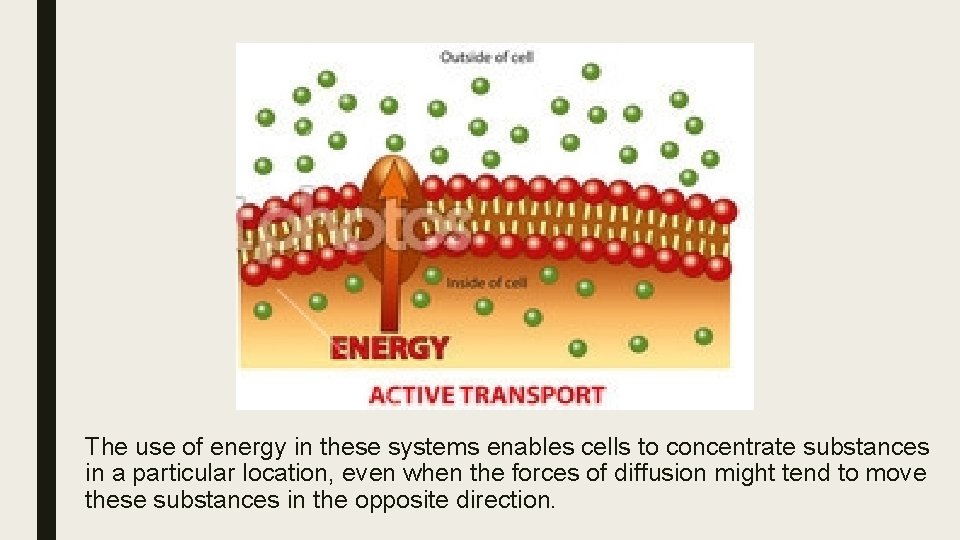 The use of energy in these systems enables cells to concentrate substances in a
