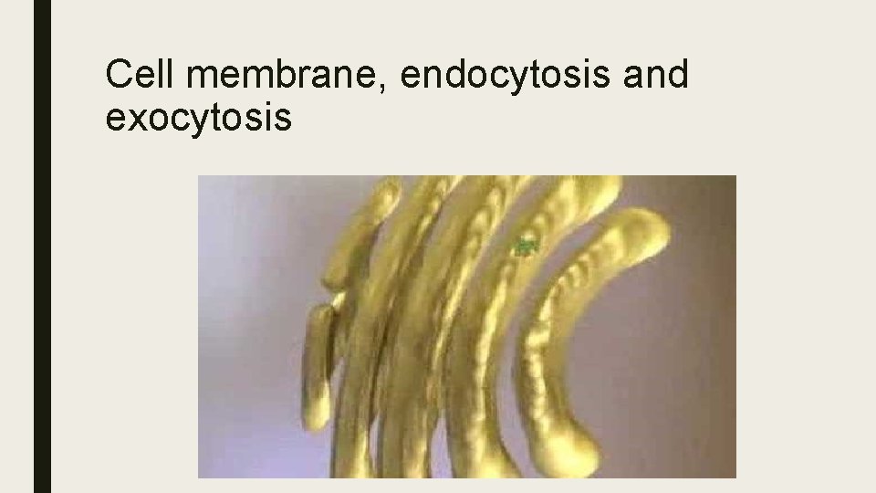 Cell membrane, endocytosis and exocytosis 