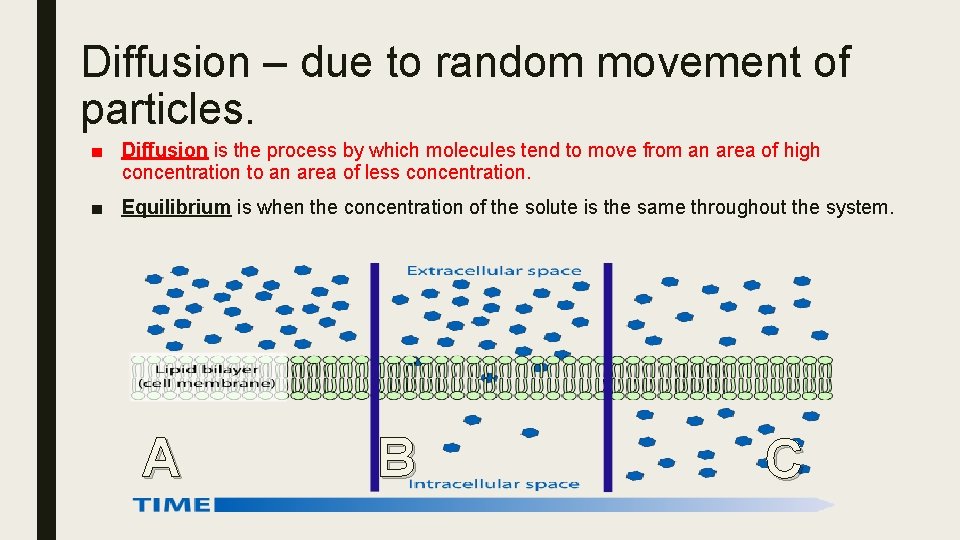 Diffusion – due to random movement of particles. ■ Diffusion is the process by
