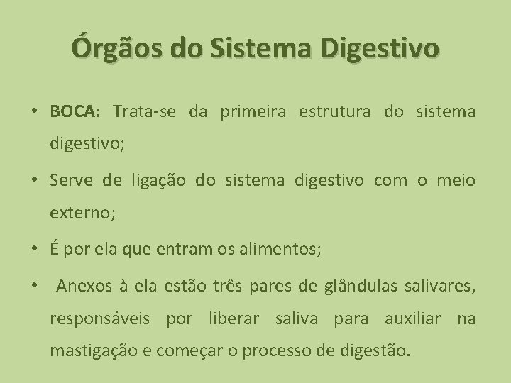 Órgãos do Sistema Digestivo • BOCA: Trata-se da primeira estrutura do sistema digestivo; •