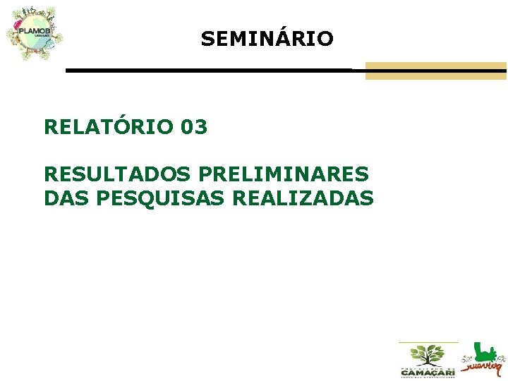SEMINÁRIO RELATÓRIO 03 RESULTADOS PRELIMINARES DAS PESQUISAS REALIZADAS 