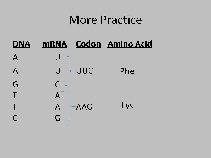 More Practice DNA A A G T T C m. RNA Codon Amino Acid