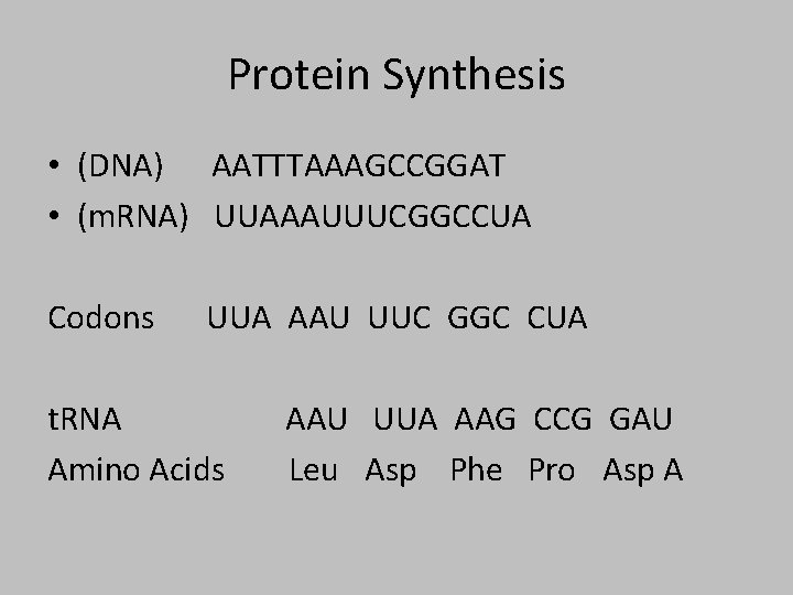Protein Synthesis • (DNA) AATTTAAAGCCGGAT • (m. RNA) UUAAAUUUCGGCCUA Codons UUA AAU UUC GGC