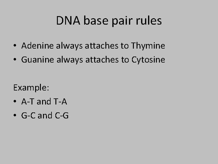 DNA base pair rules • Adenine always attaches to Thymine • Guanine always attaches