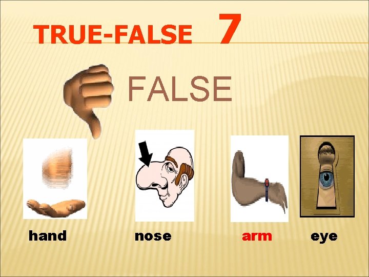 TRUE-FALSE 7 FALSE hand nose arm eye 