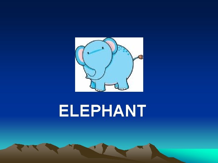ELEPHANT 