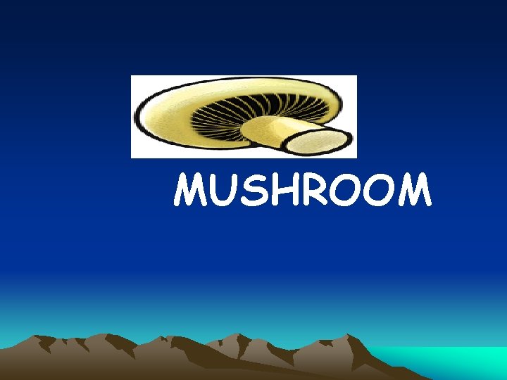 MUSHROOM 