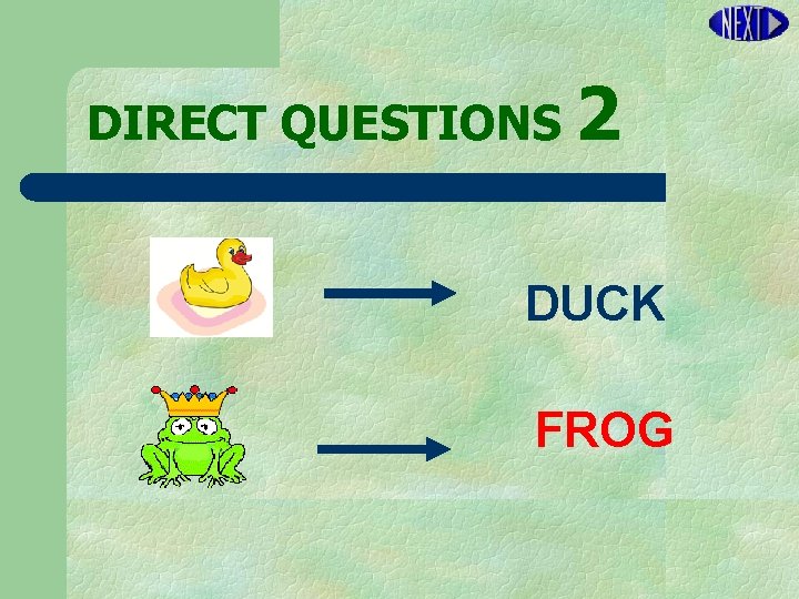 DIRECT QUESTIONS 2 DUCK FROG 