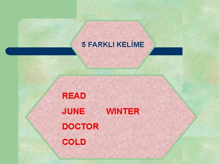 5 FARKLI KELİME READ JUNE DOCTOR COLD WINTER 