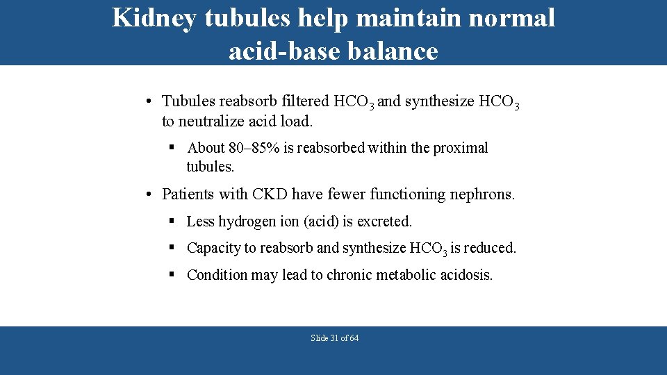Kidney tubules help maintain normal acid-base balance • Tubules reabsorb filtered HCO 3 and