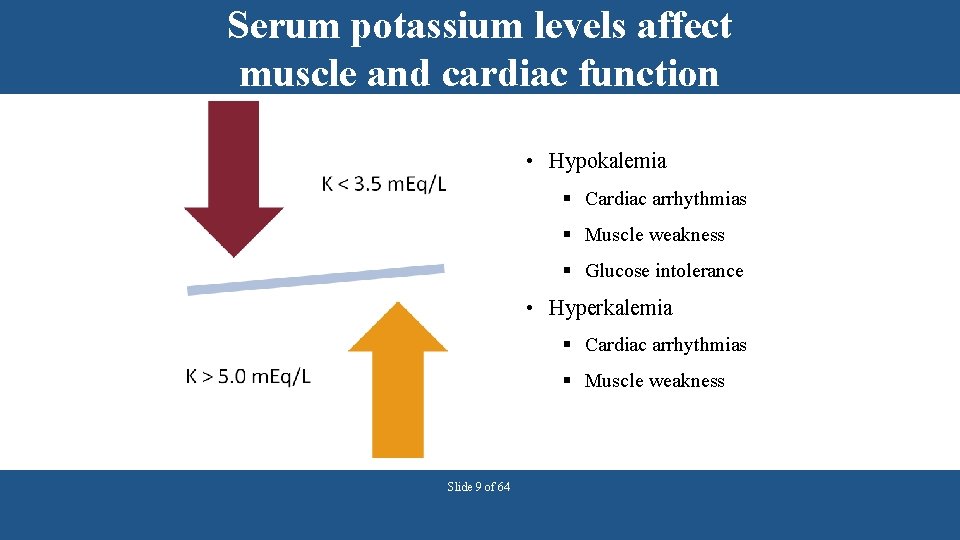 Serum potassium levels affect muscle and cardiac function • Hypokalemia § Cardiac arrhythmias §