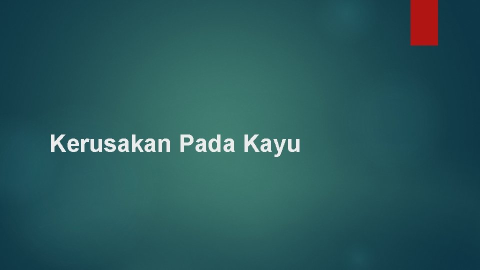 Kerusakan Pada Kayu 