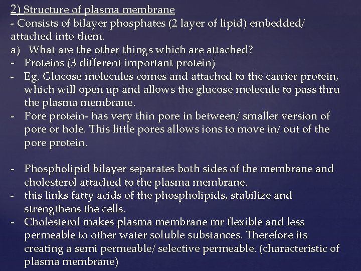 2) Structure of plasma membrane - Consists of bilayer phosphates (2 layer of lipid)