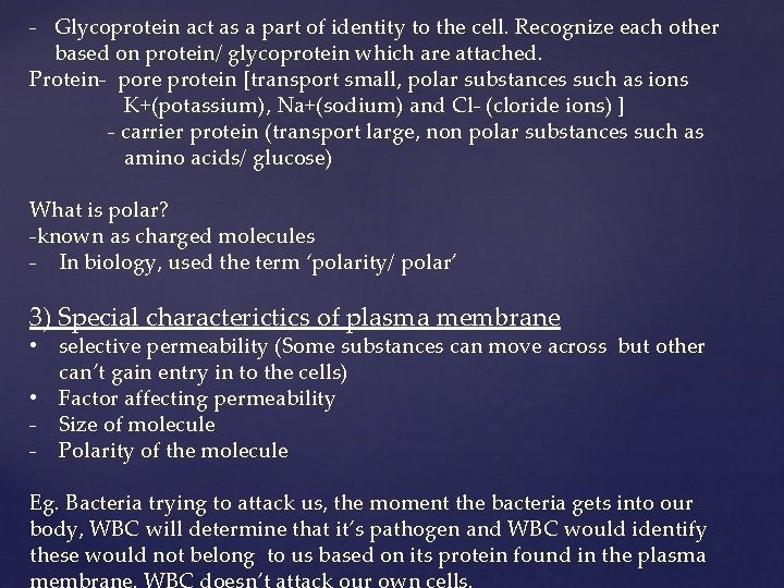 - Glycoprotein act as a part of identity to the cell. Recognize each other