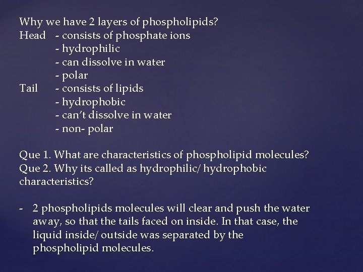 Why we have 2 layers of phospholipids? Head - consists of phosphate ions -