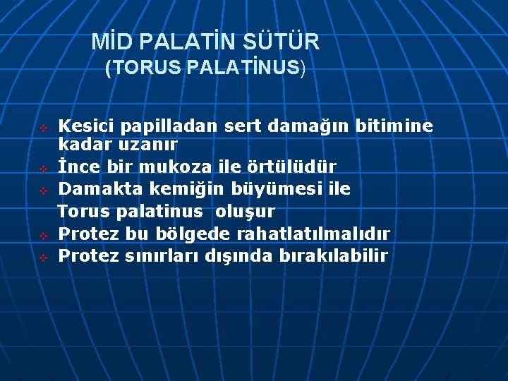MİD PALATİN SÜTÜR (TORUS PALATİNUS) v v v Kesici papilladan sert damağın bitimine kadar