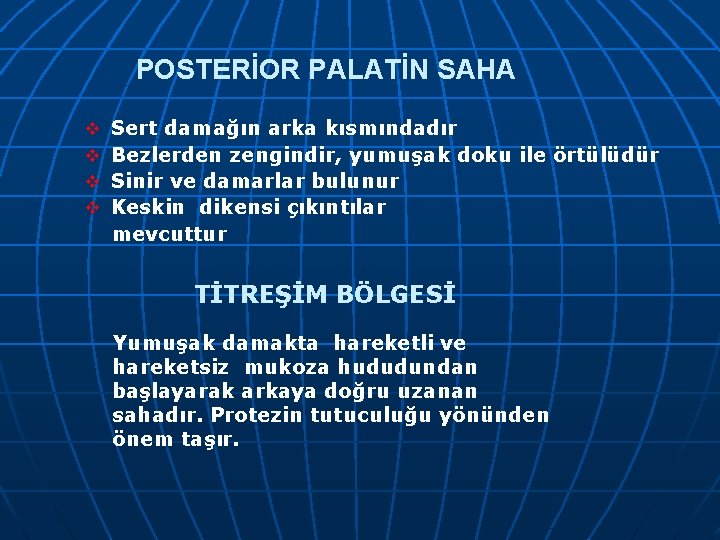 POSTERİOR PALATİN SAHA v v Sert damağın arka kısmındadır Bezlerden zengindir, yumuşak doku ile