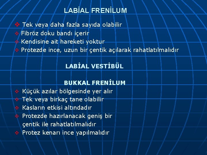 LABİAL FRENİLUM v Tek veya daha fazla sayıda olabilir v Fibröz doku bandı içerir