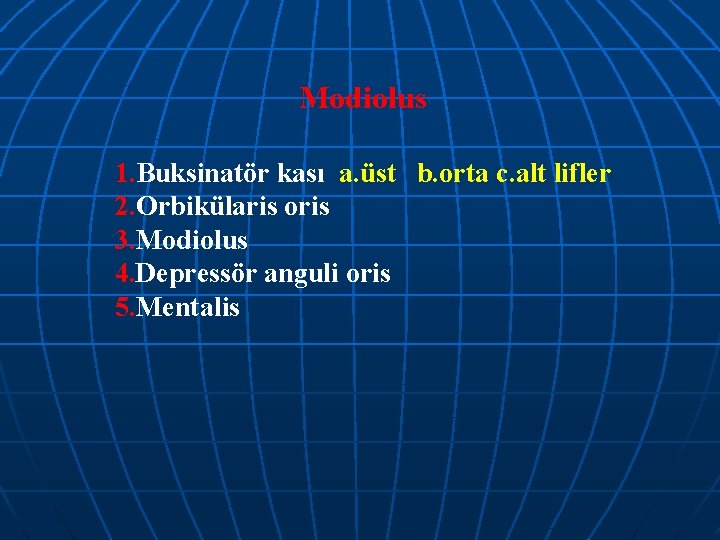 Modiolus 1. Buksinatör kası a. üst b. orta c. alt lifler 2. Orbikülaris oris