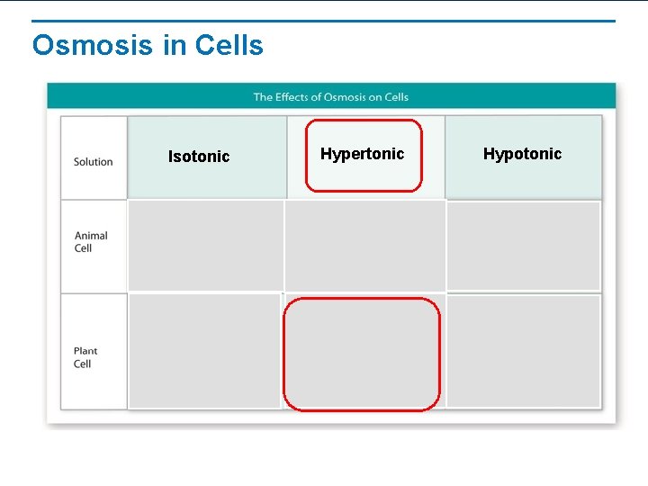 Osmosis in Cells Isotonic Hypertonic Hypotonic 