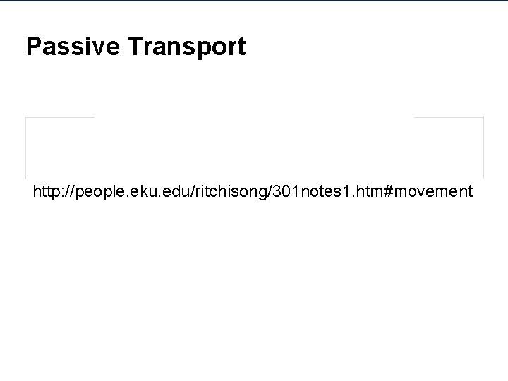 Passive Transport http: //people. eku. edu/ritchisong/301 notes 1. htm#movement 