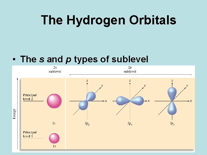 The Hydrogen Orbitals • The s and p types of sublevel 