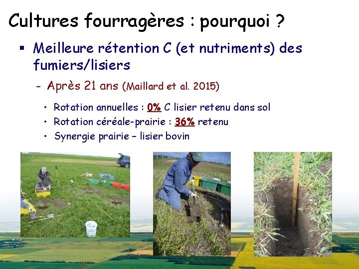 Cultures fourragères : pourquoi ? § Meilleure rétention C (et nutriments) des fumiers/lisiers -