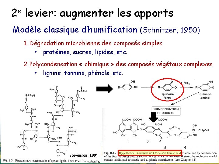 2 e levier: augmenter les apports Modèle classique d’humification (Schnitzer, 1950) 1. Dégradation microbienne