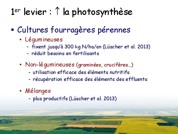 1 er levier : la photosynthèse § Cultures fourragères pérennes • Légumineuses - fixent