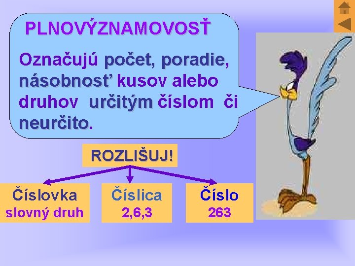 PLNOVÝZNAMOVOSŤ Označujú počet, počet poradie, poradie násobnosť kusov alebo druhov určitým číslom či neurčito