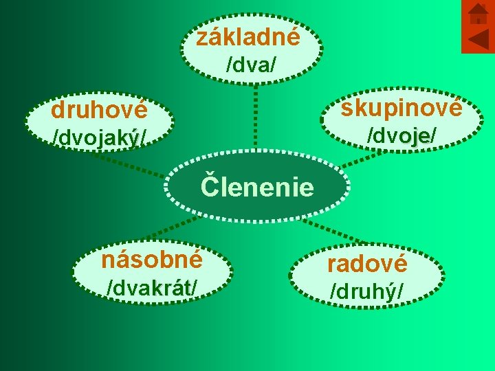 základné /dva/ druhové skupinové /dvojaký/ aký /dvoje/ oje Členenie násobné /dvakrát/ krát radové /druhý/