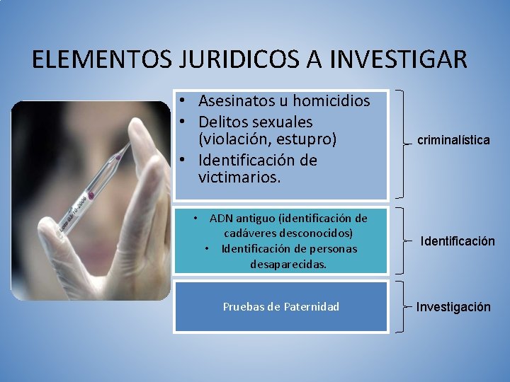 ELEMENTOS JURIDICOS A INVESTIGAR • Asesinatos u homicidios • Delitos sexuales (violación, estupro) •