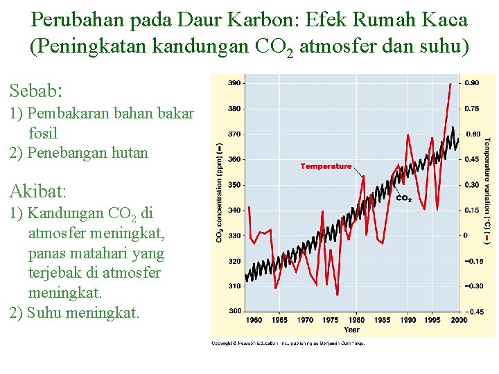 Perubahan pada Daur Karbon: Efek Rumah Kaca (Peningkatan kandungan CO 2 atmosfer dan suhu)